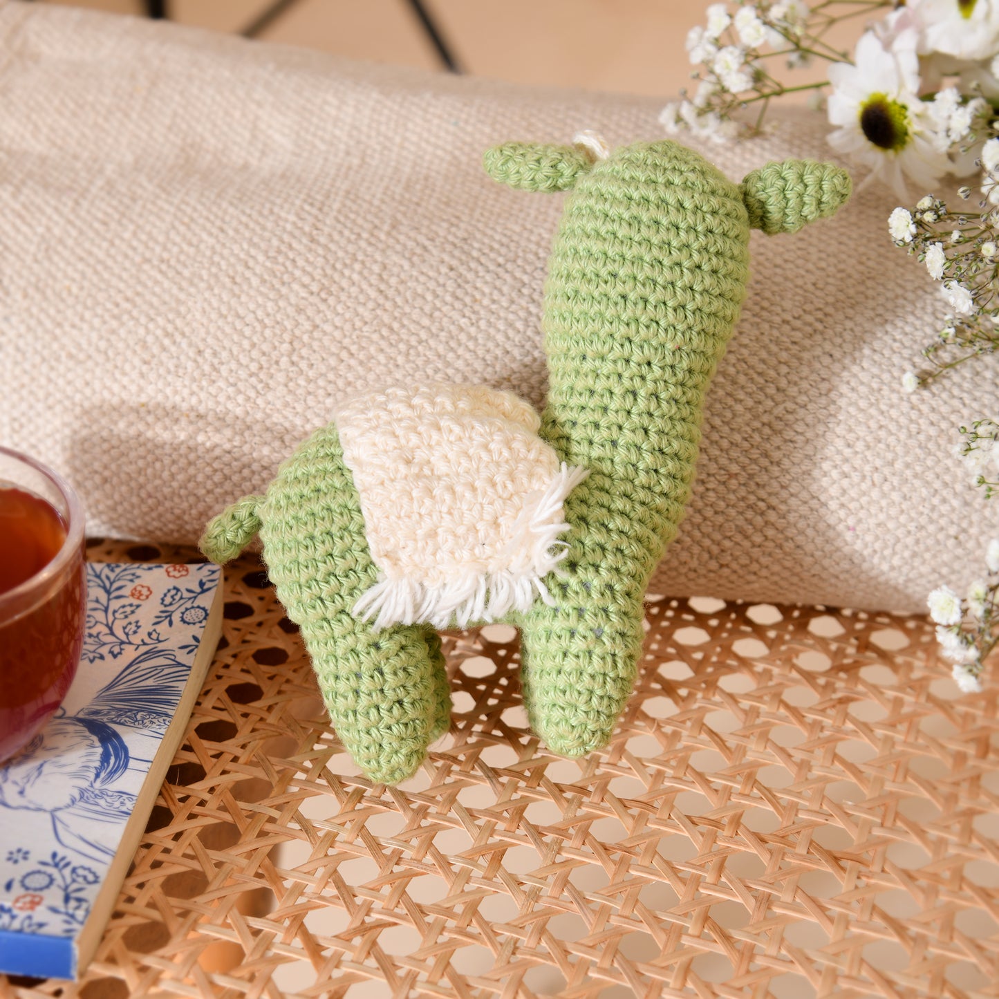 Llama